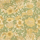 Peony Fever Yellow