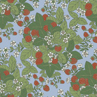 Strawberry Fields Blue Multi