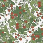 Strawberry Fields White Multi
