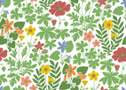 Vårflora White