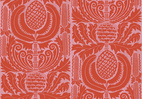 Zappa Orange Pink