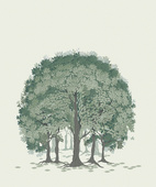 Beech Forest Green